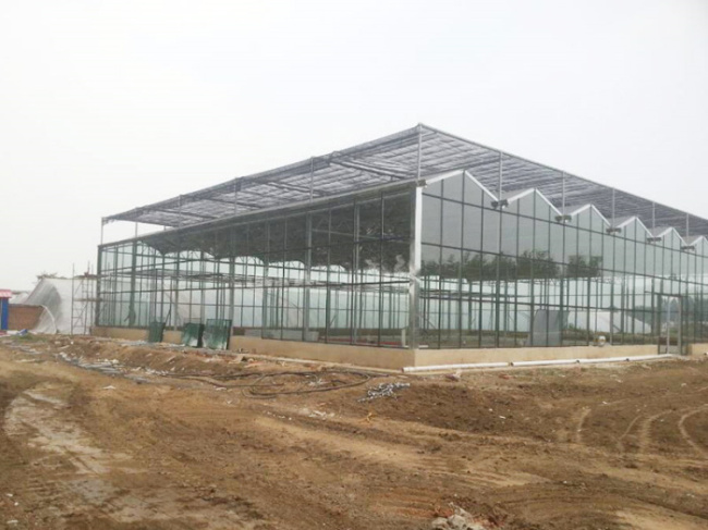 Tianjin Baodi District Tianjin Seven-color Manor Vegetable Planting Cooperative Greenhouse Project