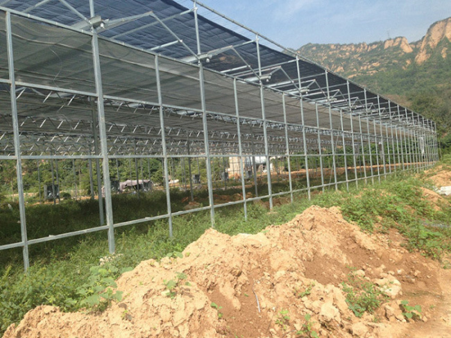 Greenhouse Project of Zhongxing Yellow River White Swan Ecological Culture Co.