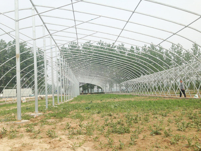 Xuzhou Tongshan District square tube assembly greenhouse 20 greenhouse project