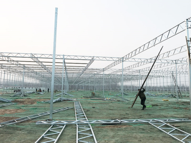 Henan Fan County Greenhouse Project