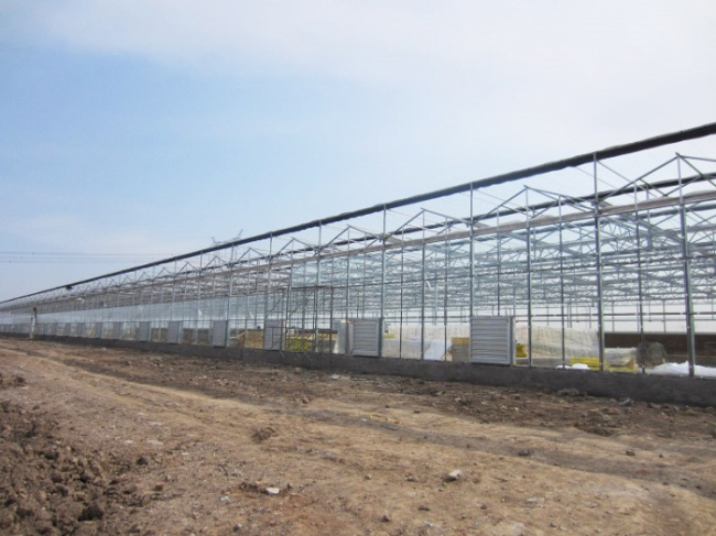 The first glass greenhouse of 4740 square meters built by Henan Yanling Company