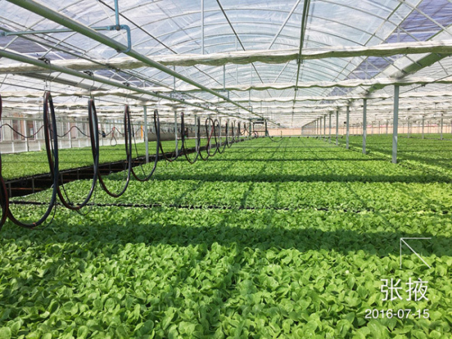 September 2015 Gansu Zhangye Ganzhou District Greenhouse Project