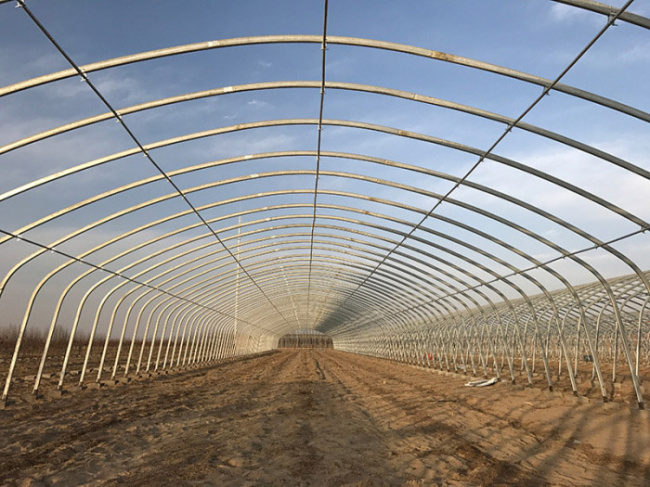 Pierson County Greenhouse Project, October 2016