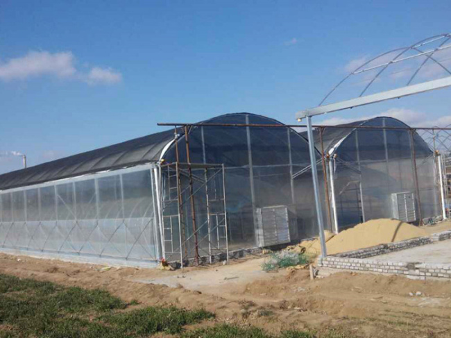 December 2014 Zhaoyuan Shuangta Group Fungus Mushroom Greenhouse