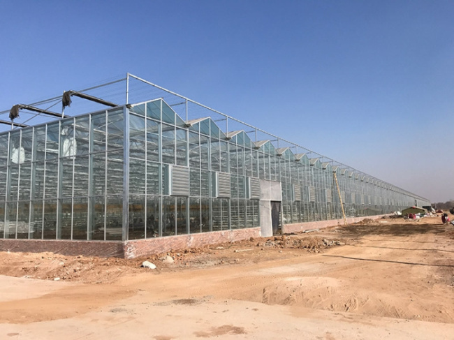 August 2017 Hebei Handan Feixiang Greenhouse Project