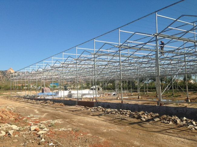 Planting greenhouses at the entrance of the Jiaonan carrier base in October 2013