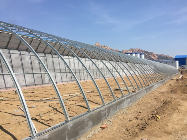 March 2016 Huangdao District Carrier Base Greenhouse Project