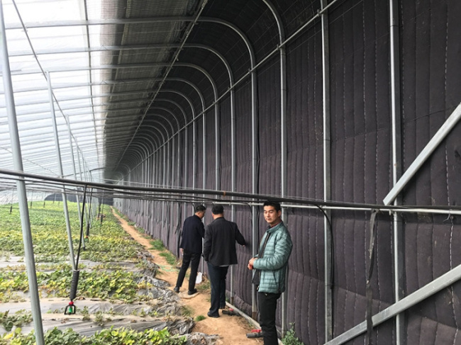 February 28, 2018 Heze Chengwu County Greenhouse