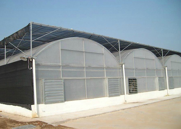 Multi-Span Film Greenhouse