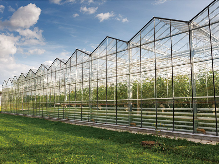 Multi-Span Intelligent Greenhouse