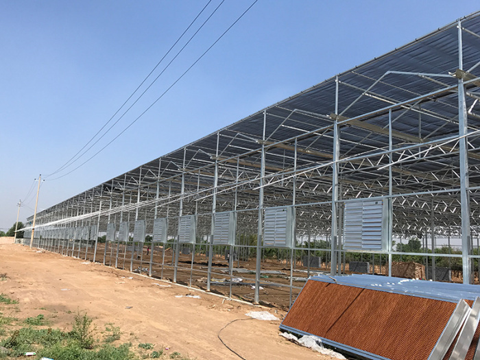 Sun panel greenhouse