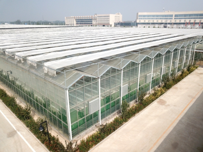 Multi-Span Intelligent Greenhouse