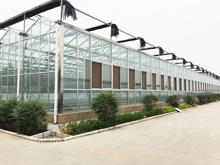 Multi-Span Intelligent Greenhouse