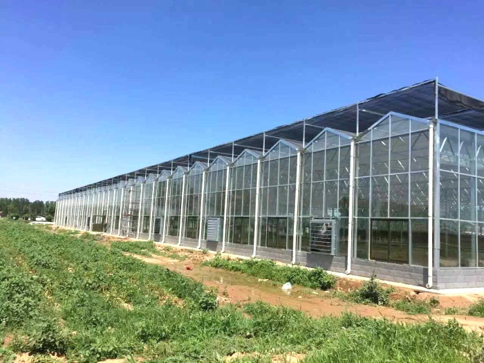 Multi-Span Intelligent Greenhouse