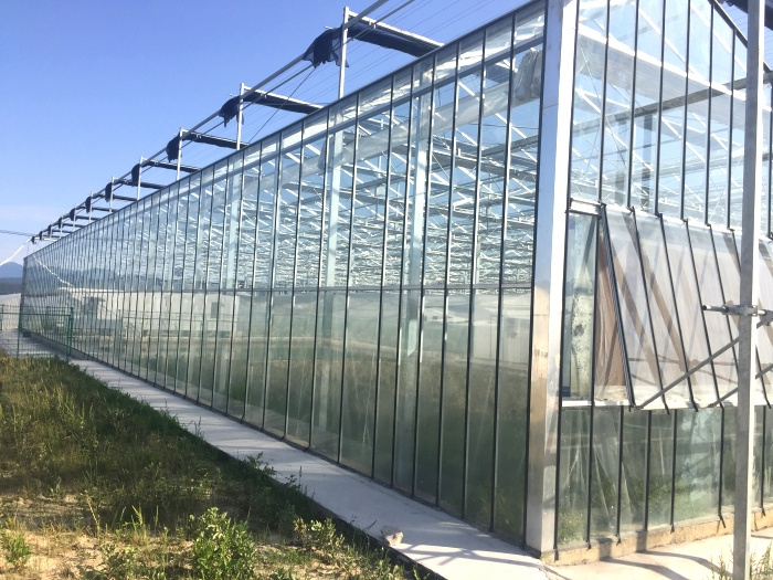 Multi-Span Intelligent Greenhouse