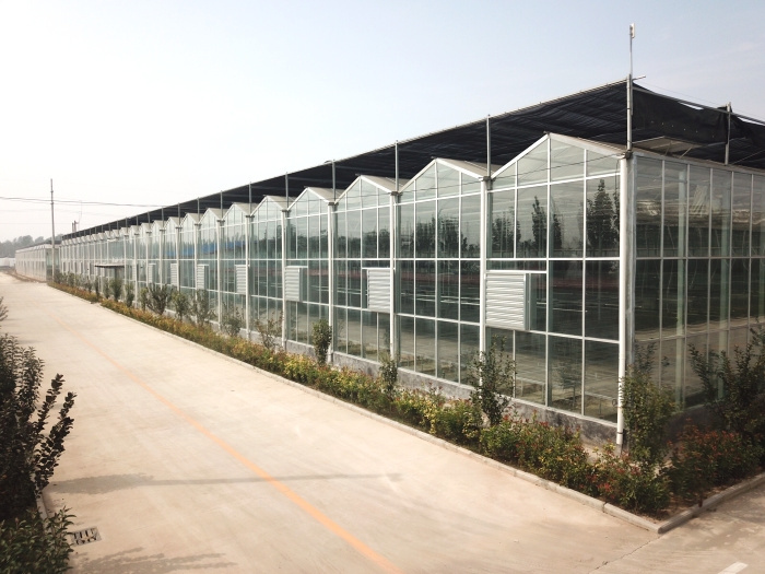 Multi-Span Intelligent Greenhouse