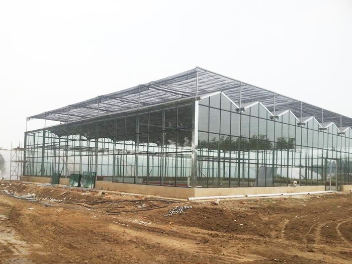 Multi-Span Intelligent Greenhouse