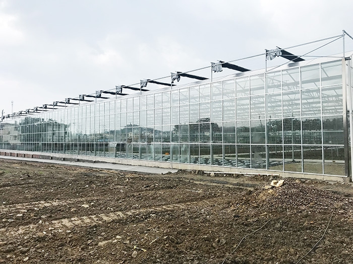 Multi-Span Intelligent Greenhouse