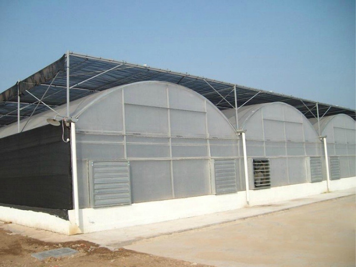 Multi-Span Film Greenhouse