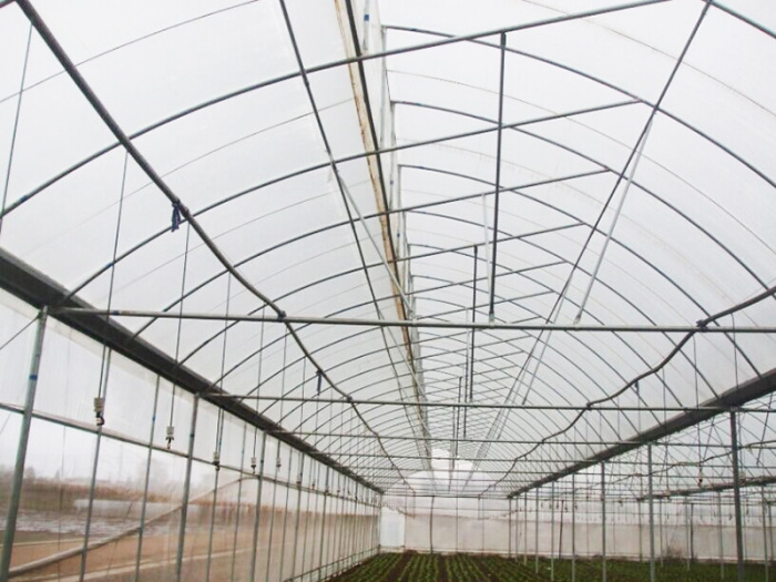 Multi-Span Film Greenhouse