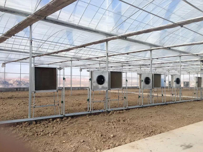 Multi-Span Film Greenhouse