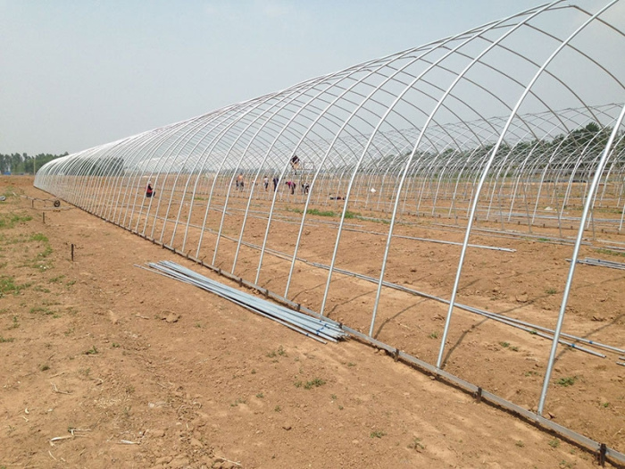 Insulation Single-Span Greenhouse