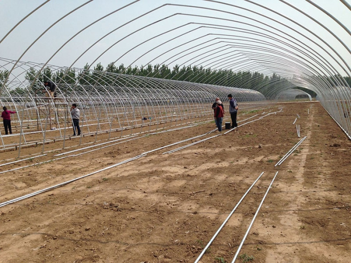 Insulation Single-Span Greenhouse