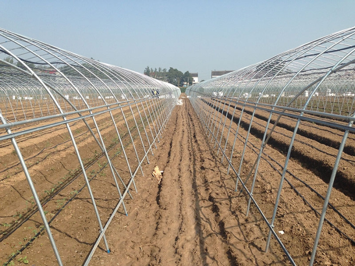 Insulation Single-Span Greenhouse