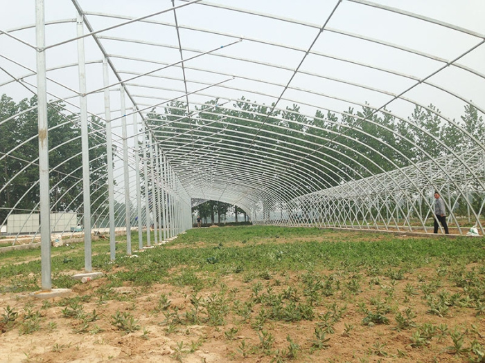 Insulation Single-Span Greenhouse