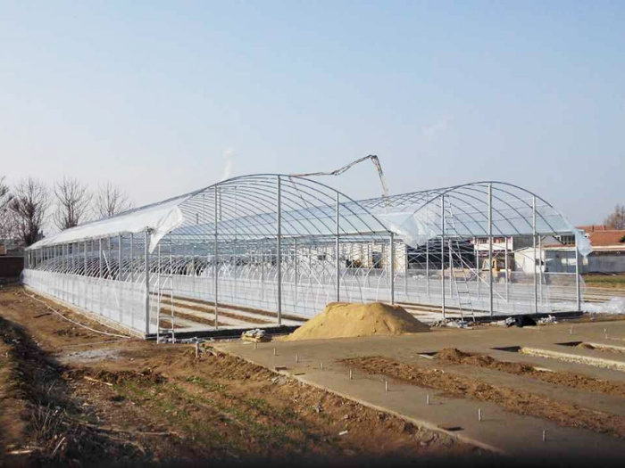 Mushroom Greenhouse