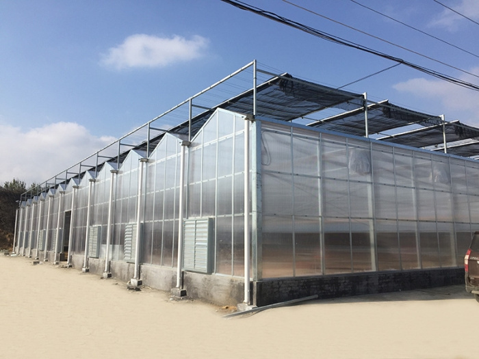 Sun panel greenhouse