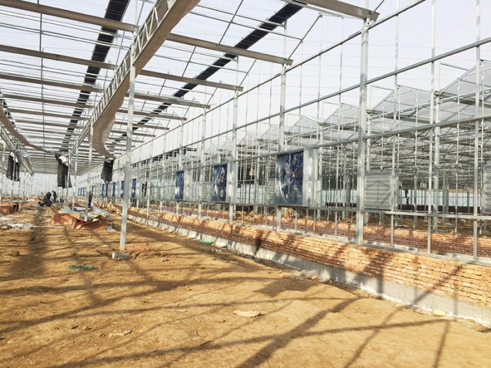 Sun panel greenhouse