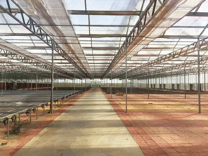 Sun panel greenhouse