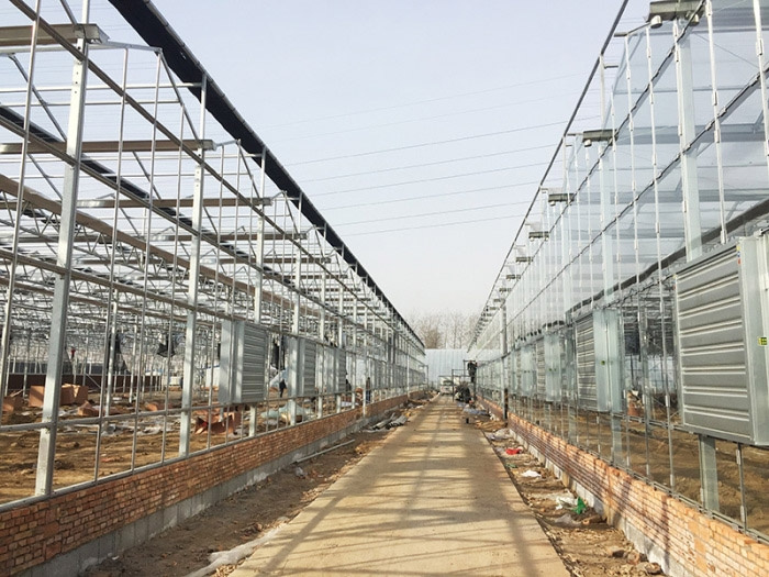 Sun panel greenhouse