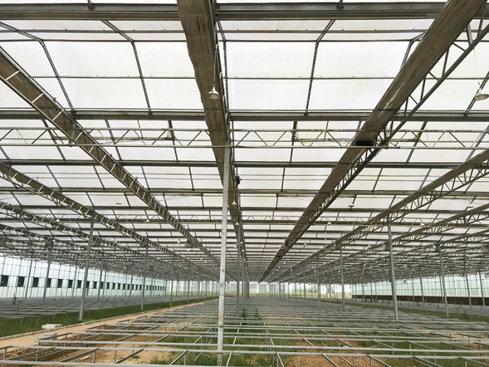 Sun panel greenhouse