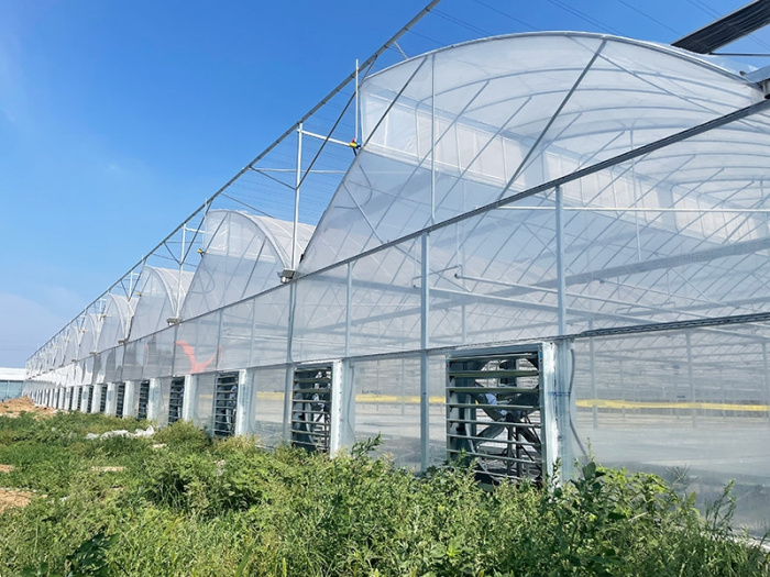 Continuous sawtooth shed