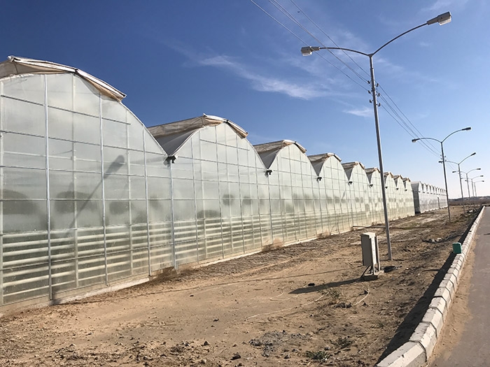 Gothic greenhouse