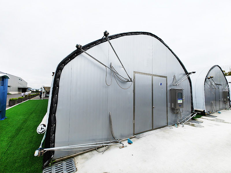 Mushroom Greenhouse