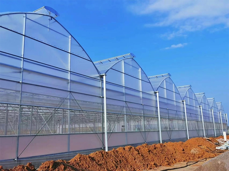 Multi-Span Film Greenhouse