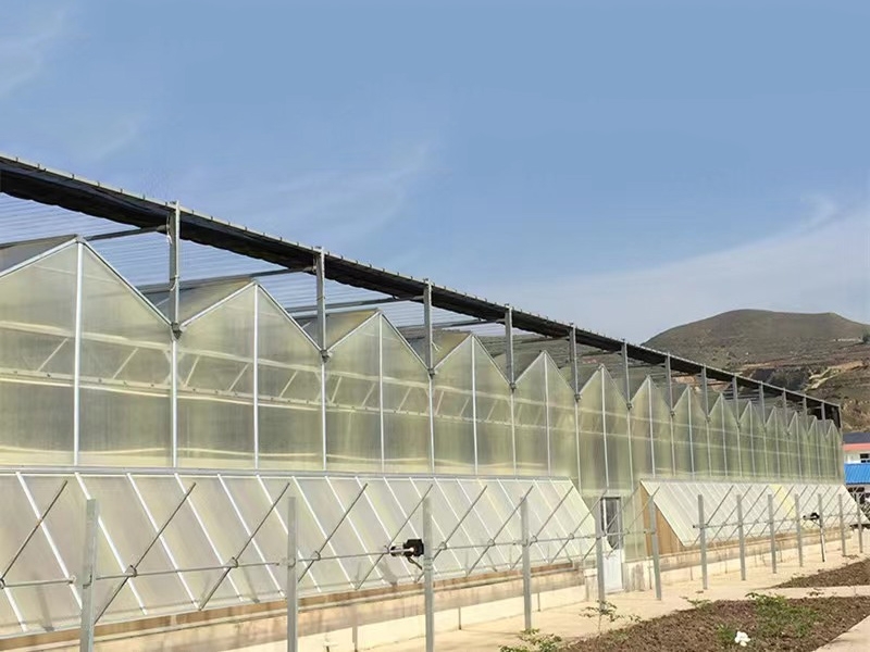 Sun panel greenhouse