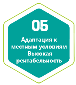 Адаптация к местным условиям - высокая рентабельность